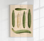 Cucumbers Chart – Botanical Poster | Fine Art Print | Grüne Gemüseillustration