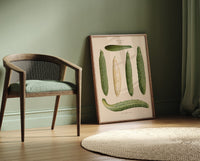 Cucumbers Chart – Botanical Poster | Fine Art Print | Grüne Gemüseillustration — Ansicht 2