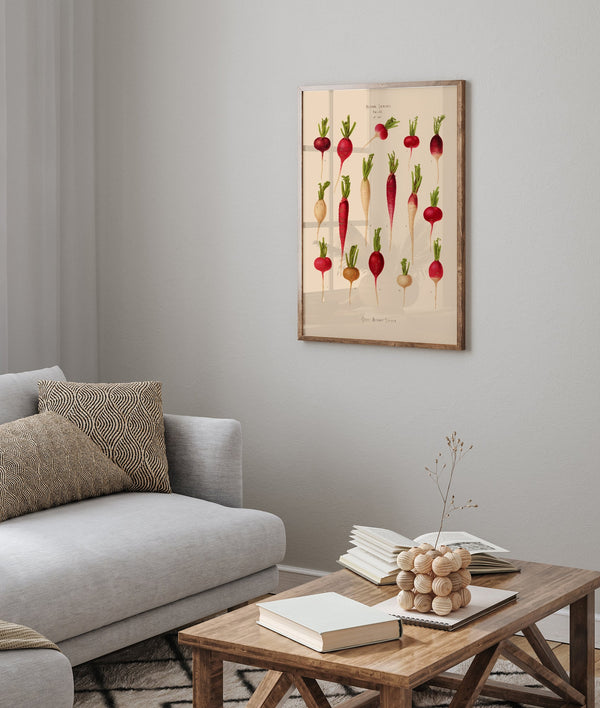 Radishes Chart – Botanischer Kunstdruck UV-resistent | Fine Art Poster von Patroa Studio