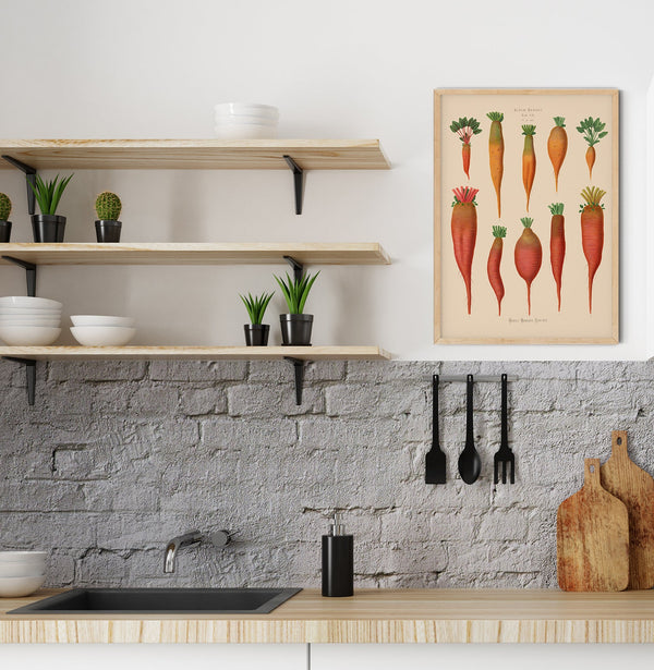 Chard Root - Botanical Chart Poster | Fine Art Canvas
