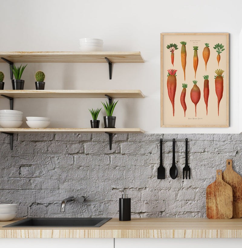 Chard Root - Botanical Chart Poster | Fine Art Canvas — Ansicht 2