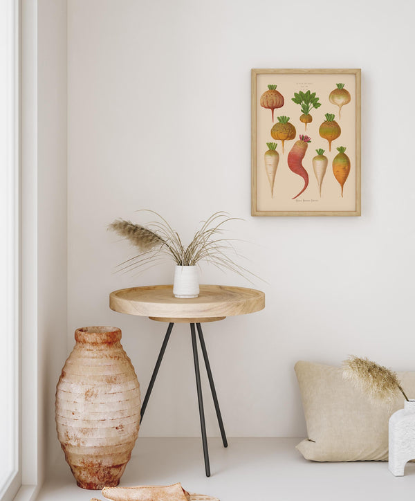 Mangelwurzel – Botanical Chart Poster | Fine Art Canvas