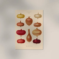 Onions Chart No. 2 Botanical Poster – Fine Art Print UV-Resistant | Patroa Studio — Ansicht 3