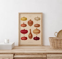Onions Chart No. 2 Botanical Poster – Fine Art Print UV-Resistant | Patroa Studio — Ansicht 2