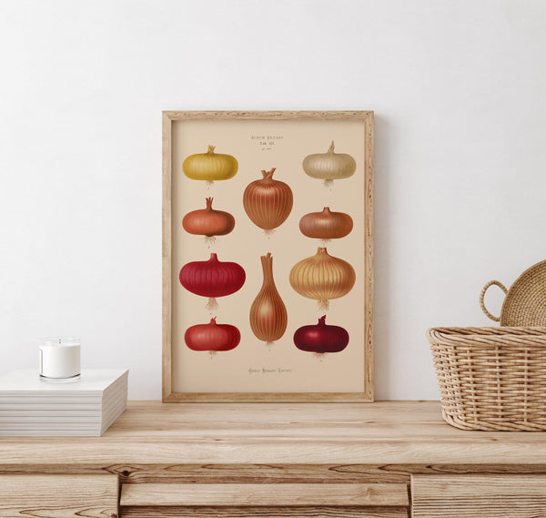 Onions Chart No. 2 Botanical Poster – Fine Art Print UV-Resistant | Patroa Studio