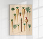 Culinary Roots Chart – Botanical Kitchen Roots Art Print | Fine Art Print