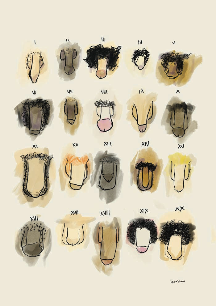Penis Colorful Chart Art Print by André Humeres – Kunstdruck Berlin — Ansicht 4