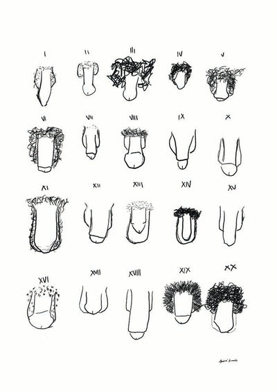 Penis B&W Chart Art Print – André Humeres Berlin