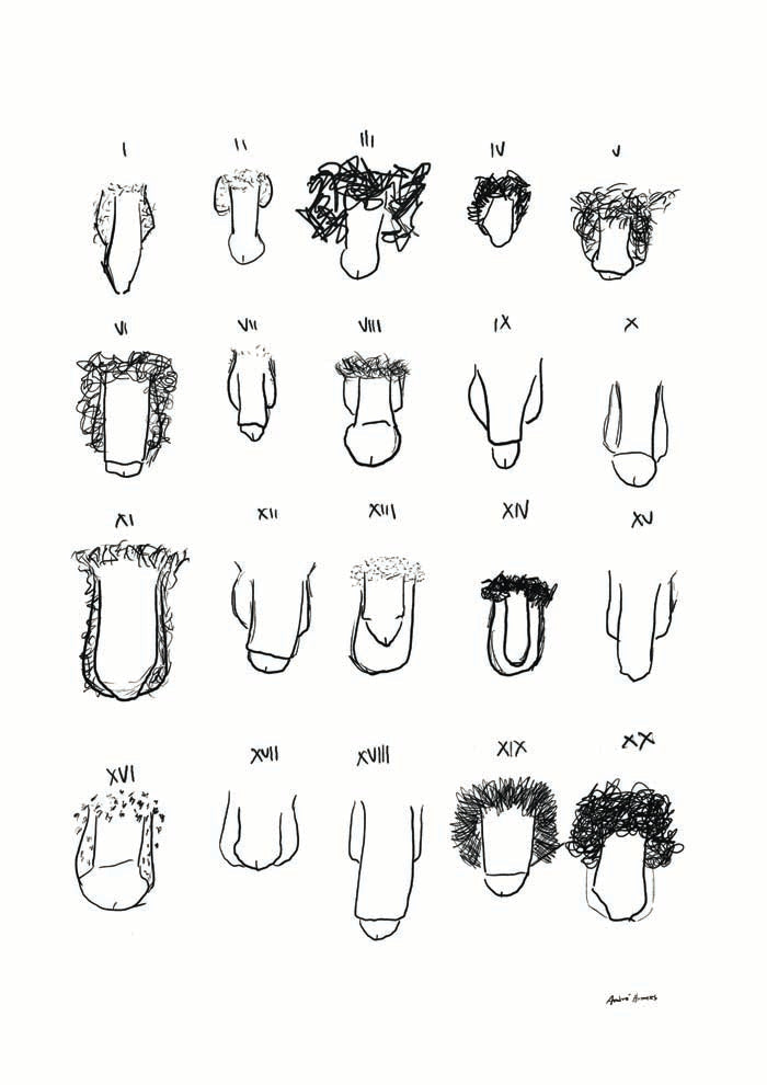 Penis B&W Chart Art Print – André Humeres Berlin — Ansicht 4