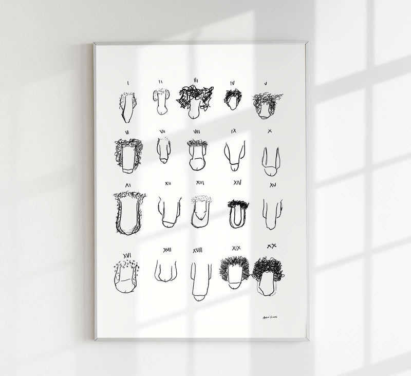 Penis B&W Chart Art Print – André Humeres Berlin — Patroa Studio