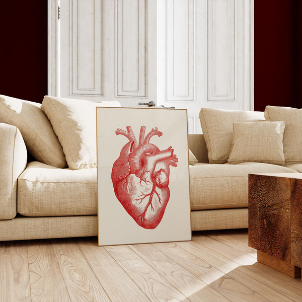 Anatomical Heart Red – Scientific Poster Heart Anatomy UV-resistant