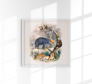 Historischer Naturkunde-Print „Animal Kingdom“ von Oliver Goldsmith, vintage Buchseiten-Ästhetik mit Tierkunde-Anmutung, als Fine Art Paper oder Canvas, ohne Rahmen.
