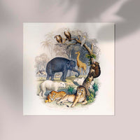 Animal Kingdom – Oliver Goldsmith Vintage Natural History Fine Art Print — Ansicht 2