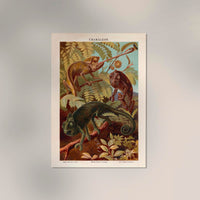 Chameleons Nature Poster – Wildlife Fine-Art-Print auf Canvas oder Papier — Ansicht 2