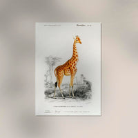 Giraffe Animal Illustration – Kunstdruck handgefertigt Berlin — Ansicht 2