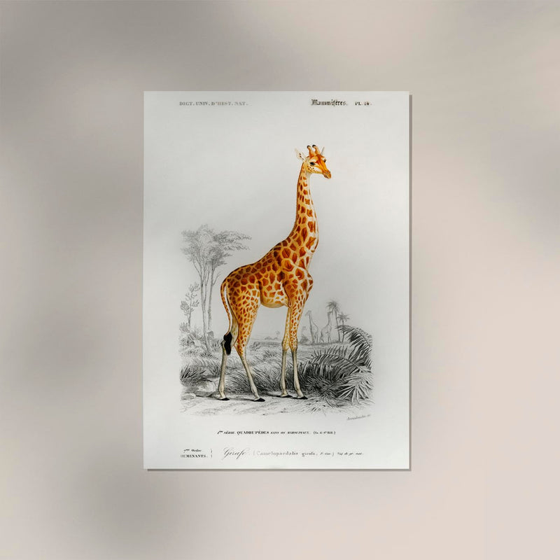 Giraffe Animal Illustration – Kunstdruck handgefertigt Berlin — Ansicht 2