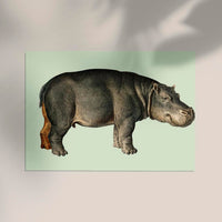 Hippopotamus Animal Illustration Poster – Handgedruckt Berlin — Ansicht 2