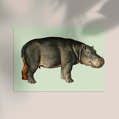 Hippopotamus Animal Illustration Poster – Handgedruckt Berlin