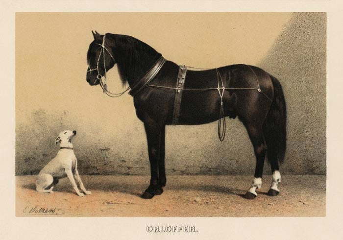 Orloff Horse & Dog Poster – Archival Druck aus Berlin — Ansicht 3