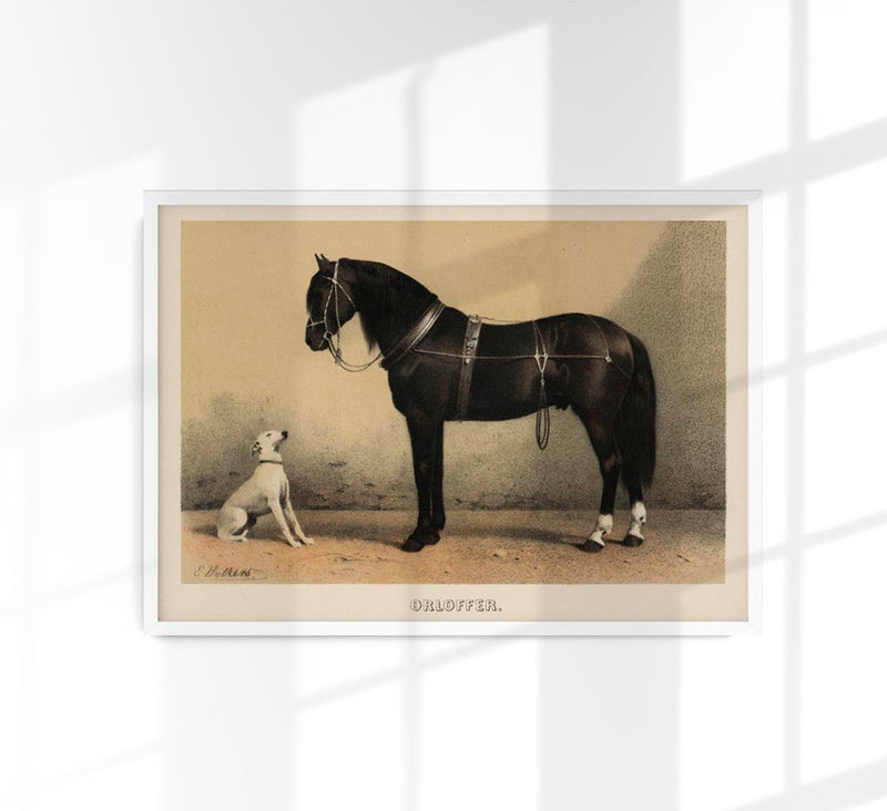 Orloff Horse & Dog Poster – Archival Druck aus Berlin — Patroa Studio