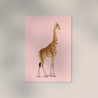 Giraffe Pink Poster – moderner Kunstdruck in Rosétönen — Ansicht 2