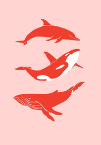 Whale & Dolphin Pink Poster – Meeresmotive Fine Art Print — Ansicht 3