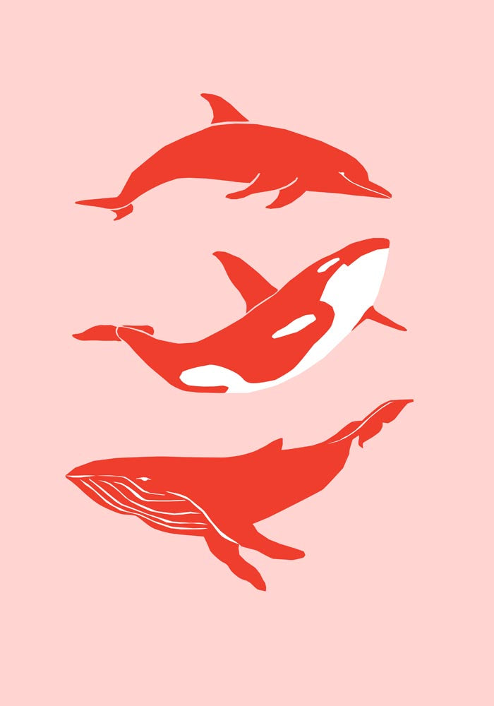 Whale & Dolphin Pink Poster – Meeresmotive Fine Art Print — Ansicht 3