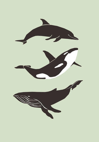 Whale & Dolphin Green Poster – Meeresmotive | Fine Art Print | Moderne Wandkunst