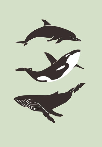 Whale & Dolphin Green Poster – Meeresmotive Fine Art Print 29,7–118,8 cm