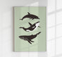 Whale & Dolphin Green Poster – Meeresmotive Fine Art Print 29,7–118,8 cm