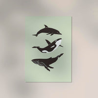 Whale & Dolphin Green Poster – Meeresmotive Fine Art Print 29,7–118,8 cm — Ansicht 2
