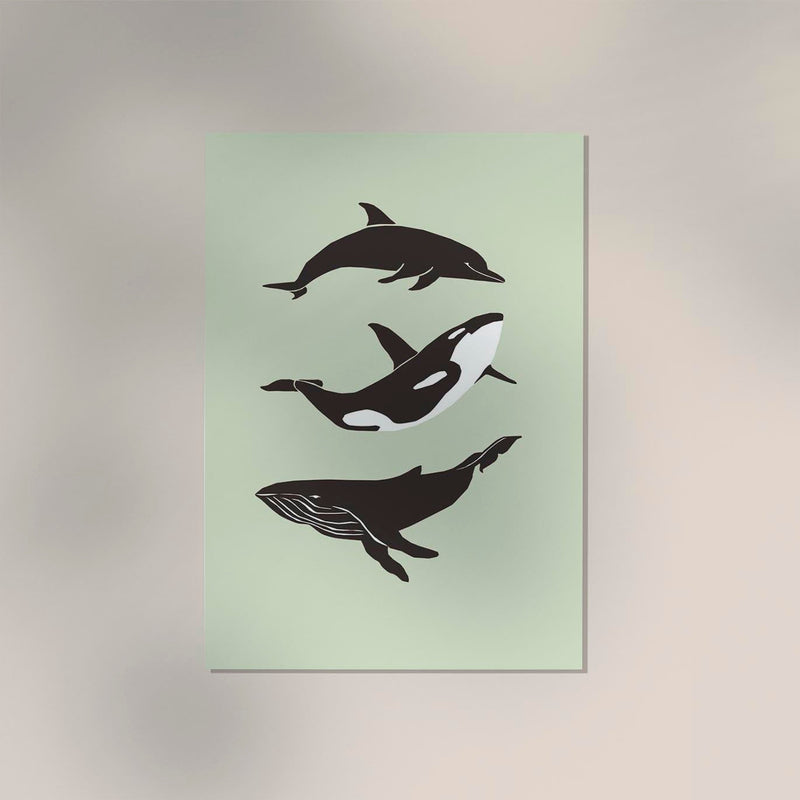 Whale & Dolphin Green Poster – Meeresmotive Fine Art Print 29,7–118,8 cm — Ansicht 2