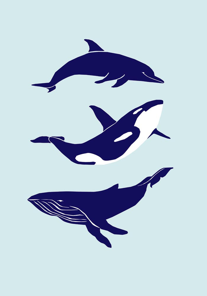 Whale & Dolphin Blue Poster – Fine Art Print Meeresmotive — Ansicht 3