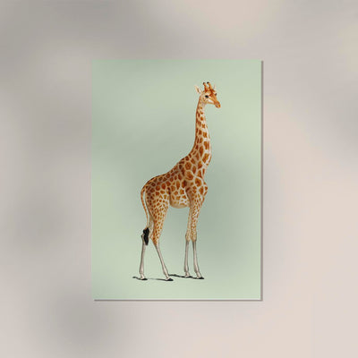 Giraffe Green Poster | Art Print | Modern Giraffe Illustration