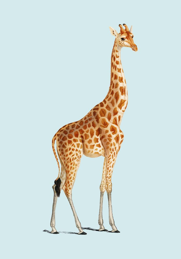 Giraffe Blue Poster – Moderne Giraffenillustration Fine Art Druck — Ansicht 3