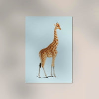 Giraffe Blue Poster – Moderne Giraffenillustration Fine Art Druck — Ansicht 2