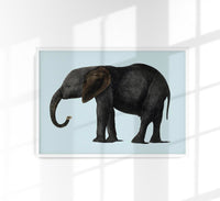 Blue Elephant Animal Illustration Poster – Hand-printed Berlin — Ansicht 1