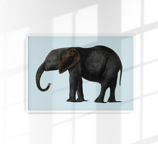 Blue Elephant Animal Illustration Poster – Handgedruckt Berlin
