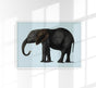 Blue Elephant Animal Illustration Poster – Hand-printed Berlin