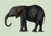 Green Elephant Animal Illustration Poster – Hand-printed Berlin — Ansicht 3
