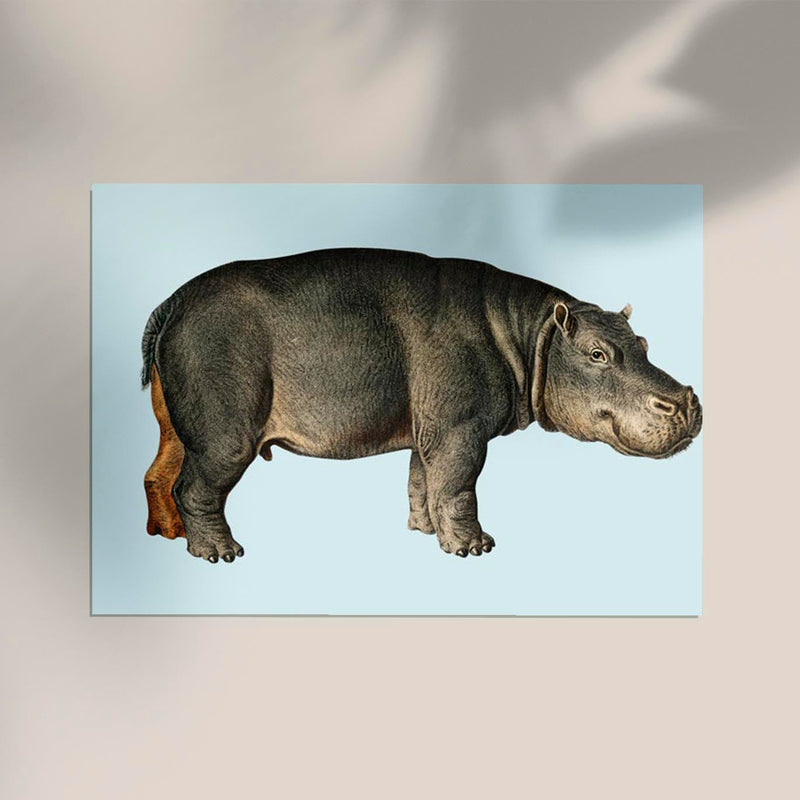 Hippo Blue Illustration – Kunstdruck Poster von Patroa Studio — Ansicht 2