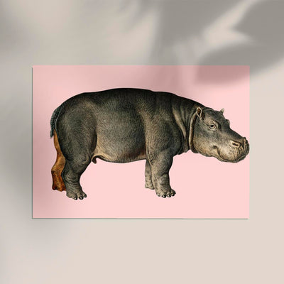 Hippo Pink Illustration – Kunstdruck Poster Patroa Studio