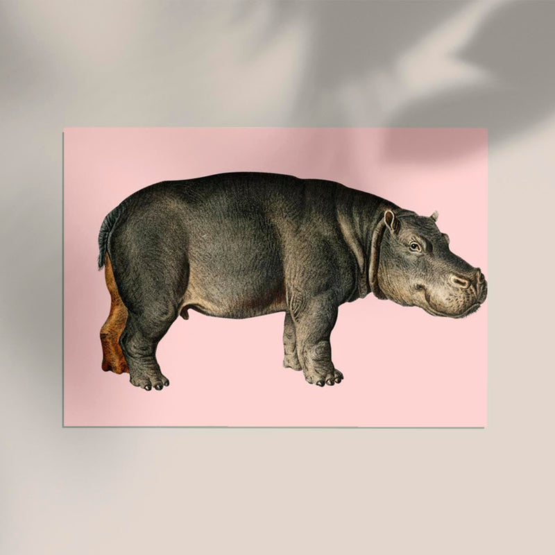 Hippo Pink Illustration – Kunstdruck Poster Patroa Studio — Ansicht 2
