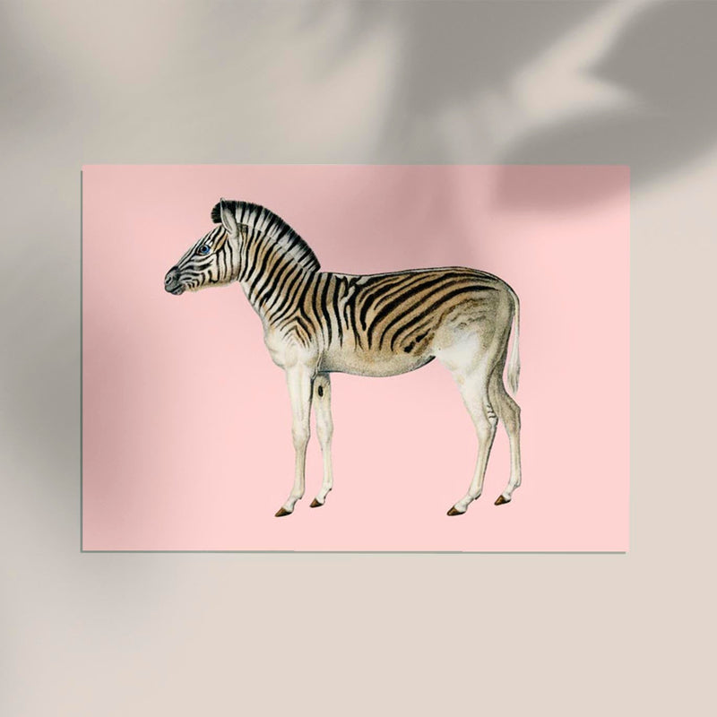 Zebra Pink Illustration – Fine Art Print | Canvas & Papier | Patroa Studio — Ansicht 2