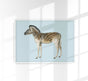 Zebra Blue Illustration – Kunstdruck Poster