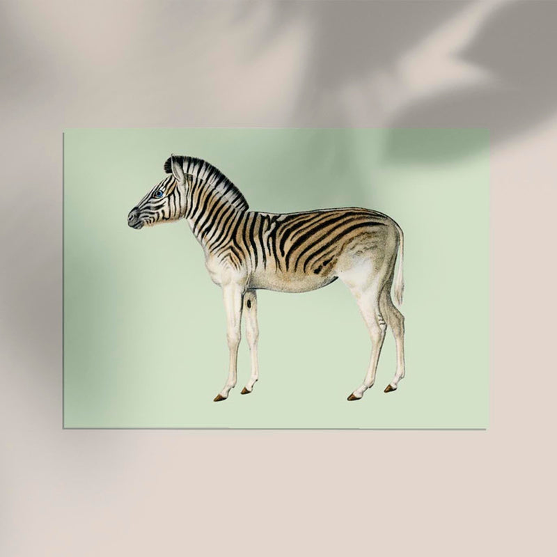 Zebra Green Illustration – Fine Art Print | Premium Canvas | Modern Design — Ansicht 2