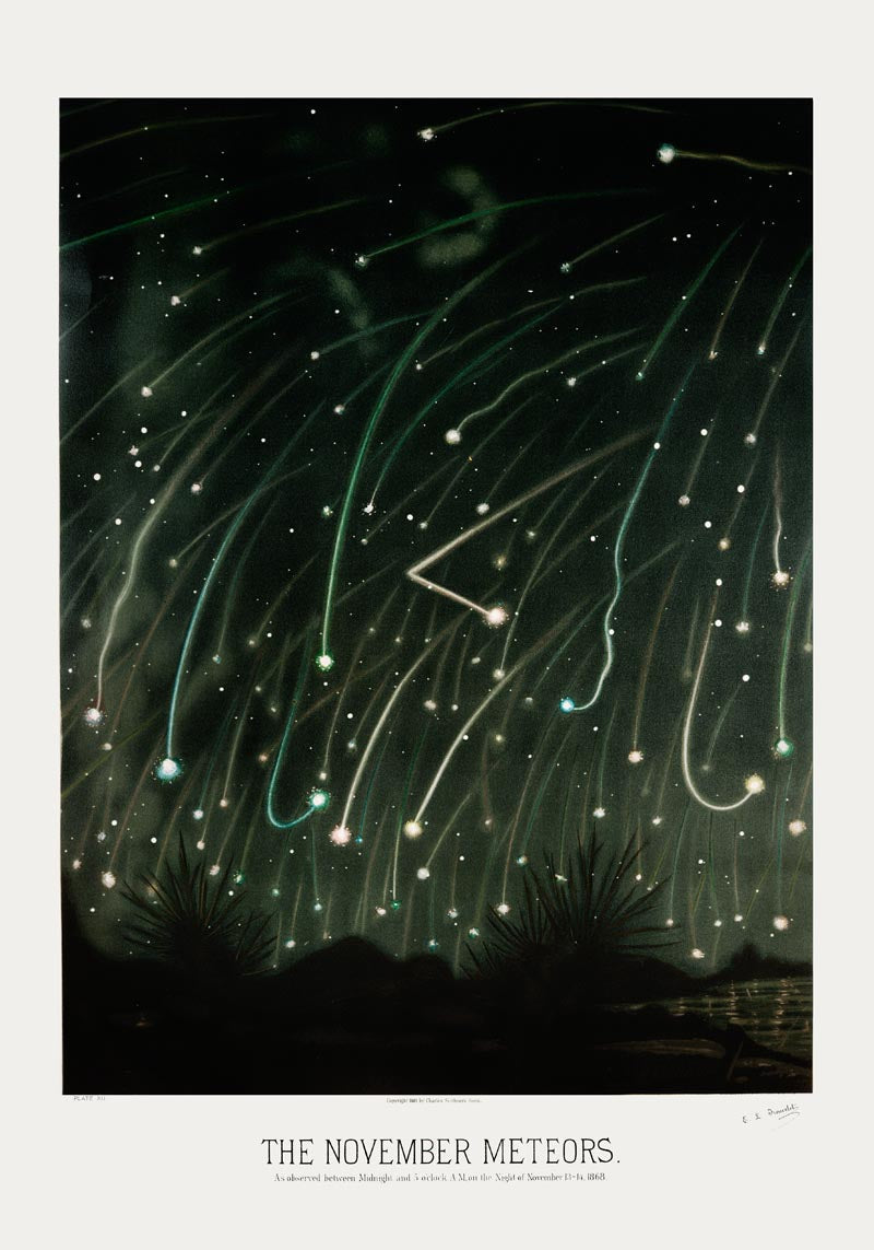 November Meteors by Trouvelot Astronomical Poster – Hand-printed Berlin — Ansicht 4