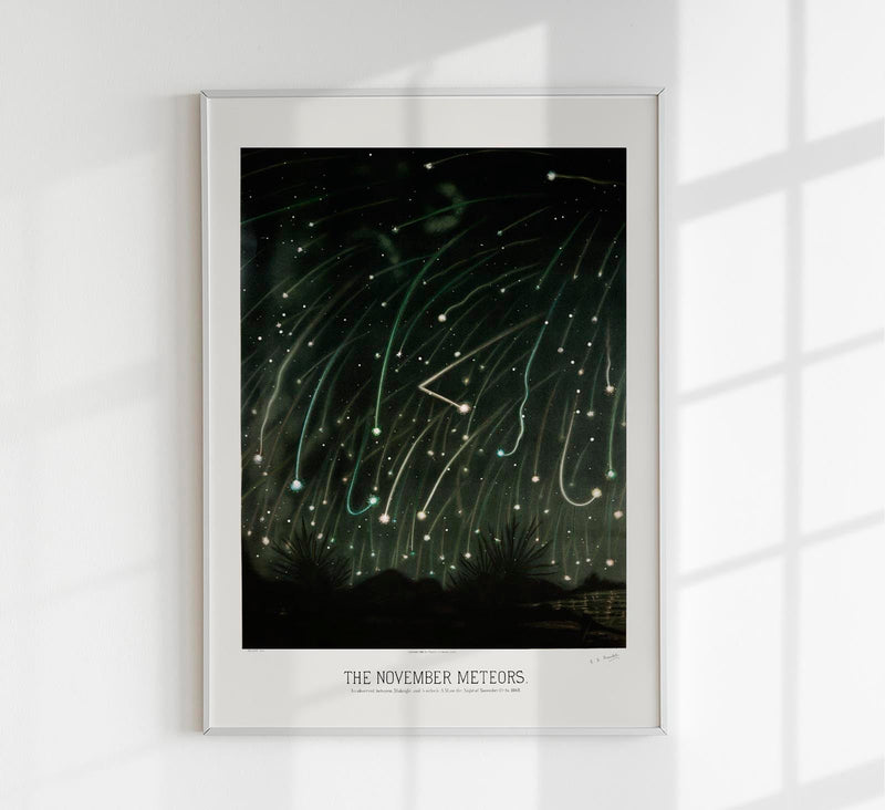 November Meteors by Trouvelot Astronomical Poster – Hand-printed Berlin — Patroa Studio