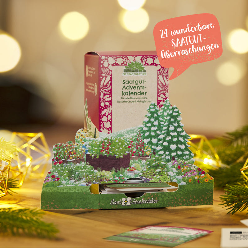 Saatgut-Adventskalender „Winterlandschaft“ – 24 BIO-Sorten — Ansicht 3