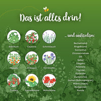 Saatgut-Adventskalender „Winterlandschaft“ – 24 BIO-Sorten — Ansicht 5